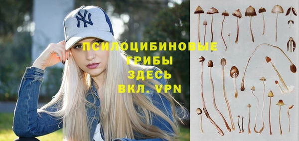 амфетамин Богданович